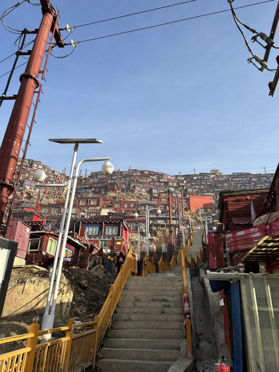 A Date with Sichuan (Recording a Seven-Day Chartered Tour in Western Sichuan + a One-Day Food Tour in Leshan + a One-Day Exploration Tour in Chengdu)